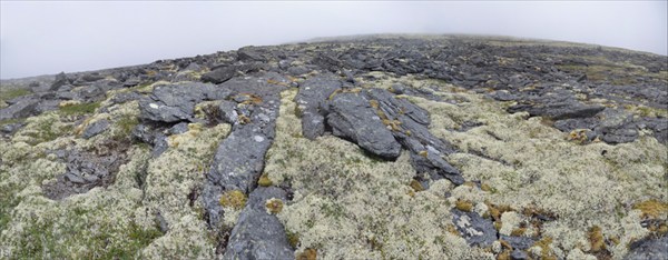 Курумник, мох и туман